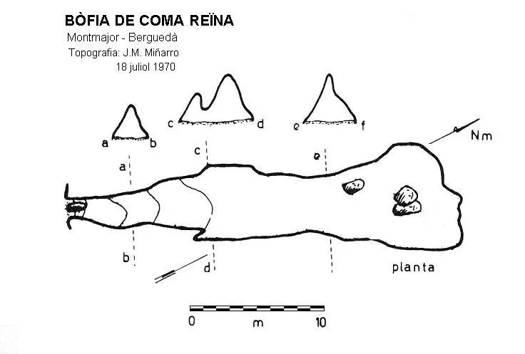 Topografia de COMA REÏNA, BÒFIA DE