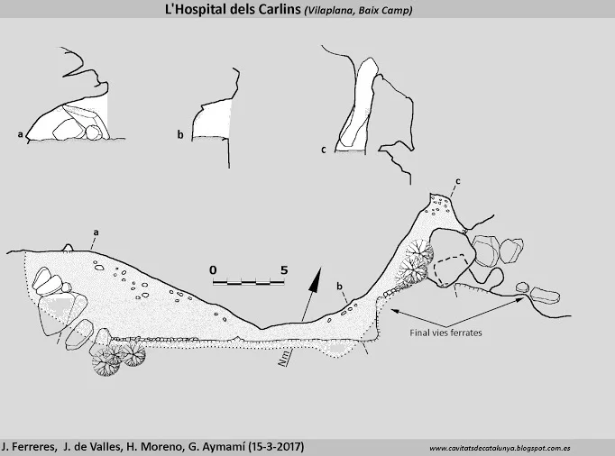 Topografia de HOSPITAL DELS CARLINS, L'