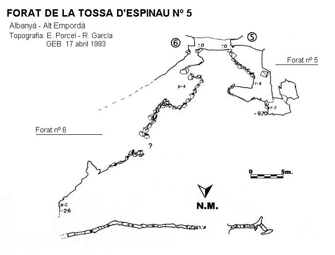 Survey of TOSSA D'ESPINAU Nº5, FORAT DE LA