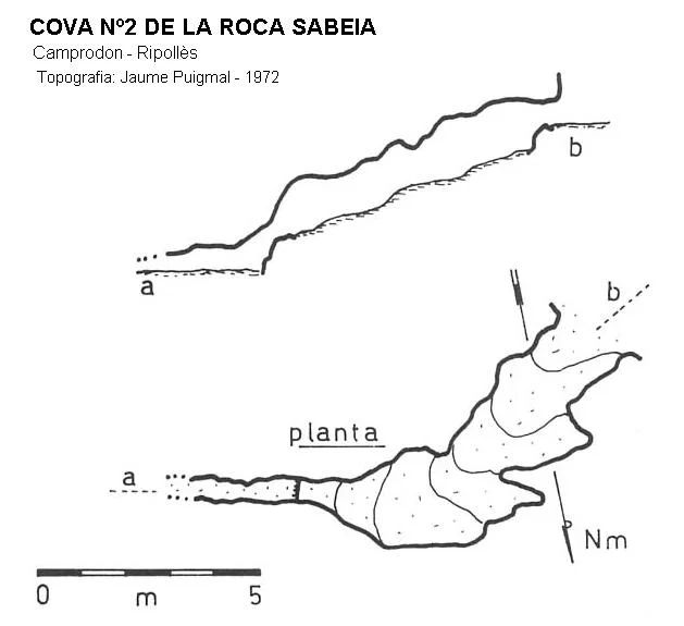 Topografía de ROCA SABEIA, COVA Nº2 DE LA