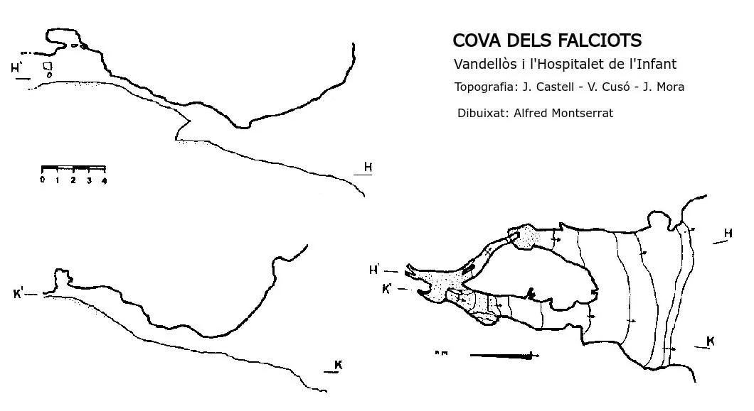 Topografia de FALCIOTS, COVA DELS