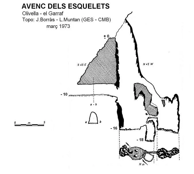 Topografía de ESQUELETS, AVENC DELS