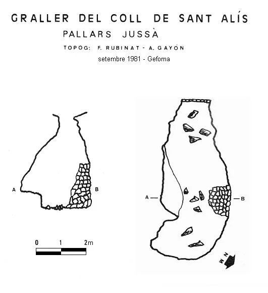 Topografia de COLL DE SANT ALÍS, GRALLER DEL