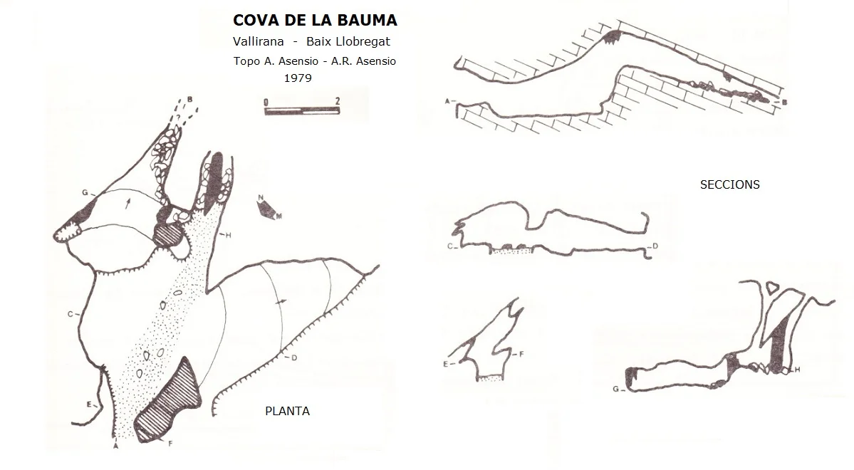 Topografia de BAUMA, COVA DE LA