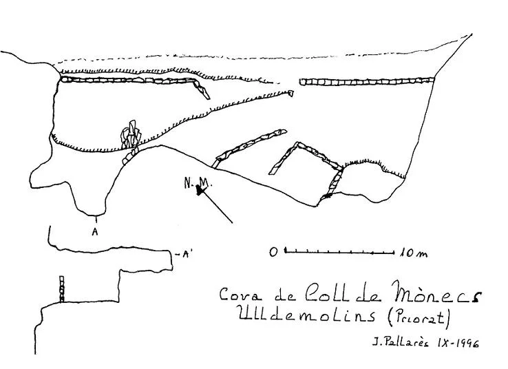 Topografia de COLL DE MÒNECS, COVA DEL