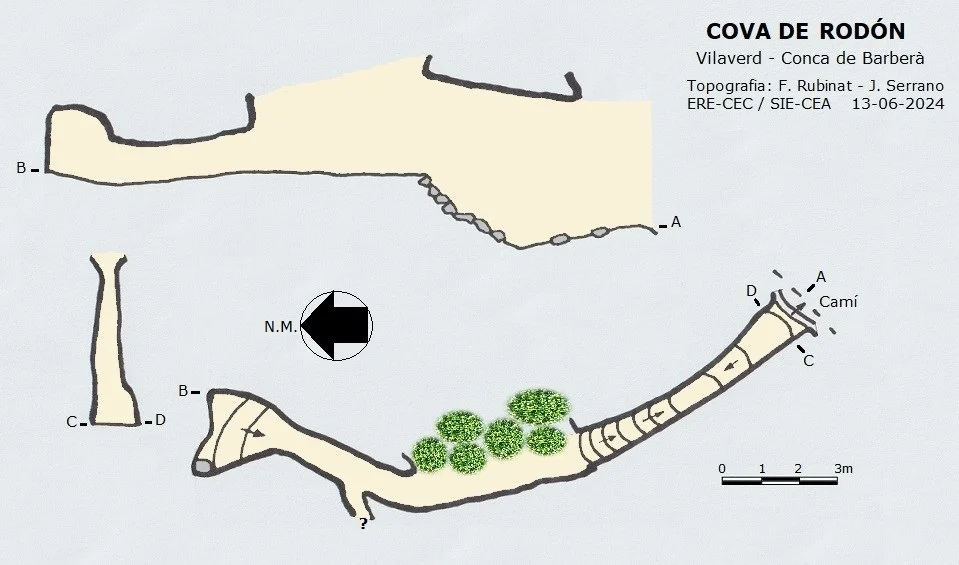 Survey of RODÓN, COVA DE 
