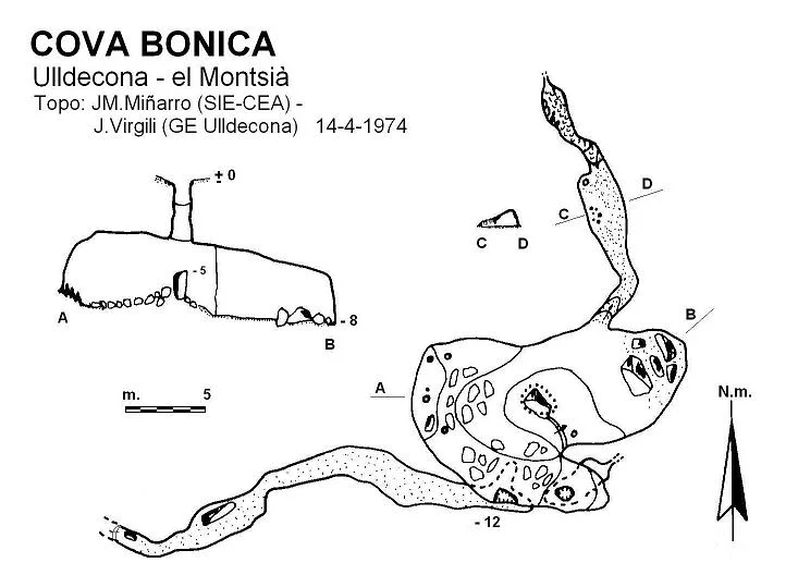 Topografía de BONICA, COVA