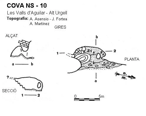 Topografia de NS-10, COVA