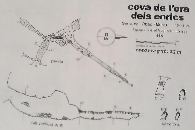 Survey of ERA DELS ENRICS, COVA DE L'