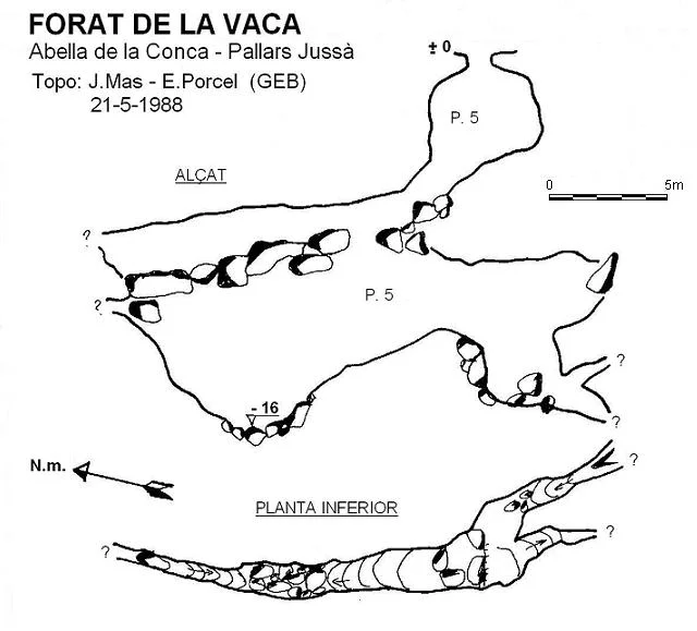 Topografia de VACA, FORAT DE LA