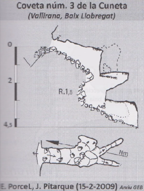 Survey of CUNETA, COVETA Nº3 DE LA