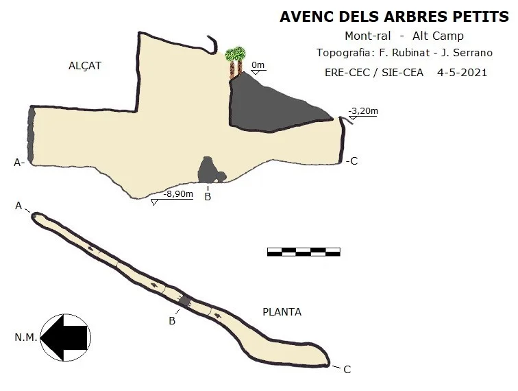 Topografia de ARBRES PETITS, AVENC DELS