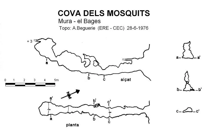 Survey of MOSQUITS, COVA DELS