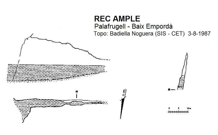Survey of AMPLE, REC
