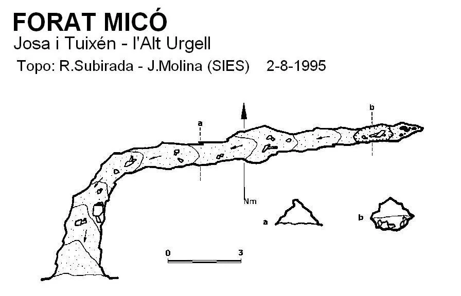 Survey of MICÓ, FORAT