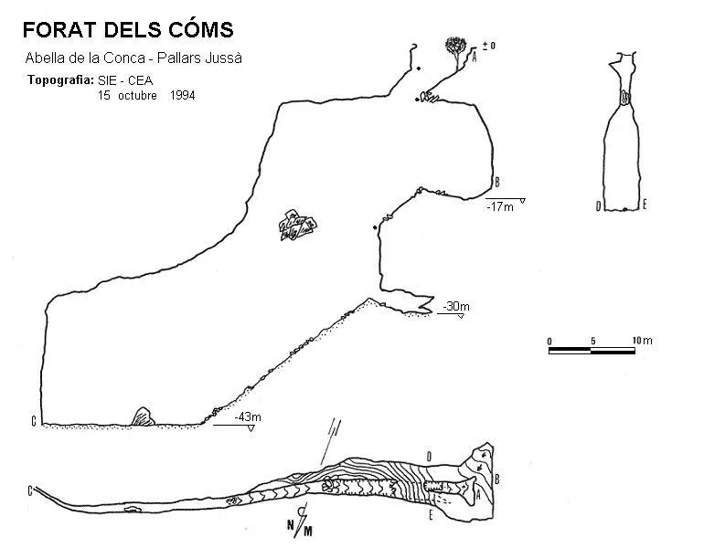 Topografia de COMS, FORAT DELS