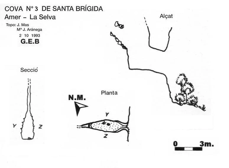 Topografía de SANTA BRÍGIDA, COVA Nº3 DE