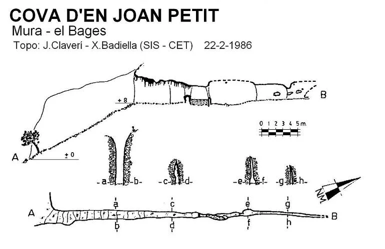 Survey of JOAN PETIT, COVA D'EN