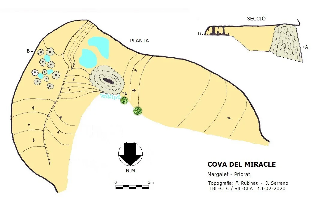 Topografia de MIRACLE, COVA DEL