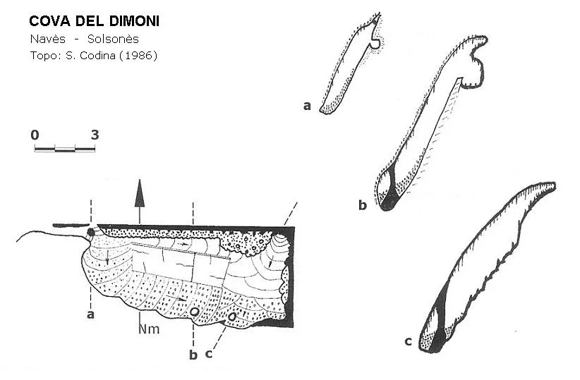 Topographie de DIMONI, COVA DEL