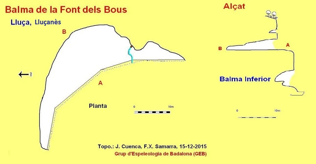 Survey of FONT DELS BOUS, BALMES DE LA