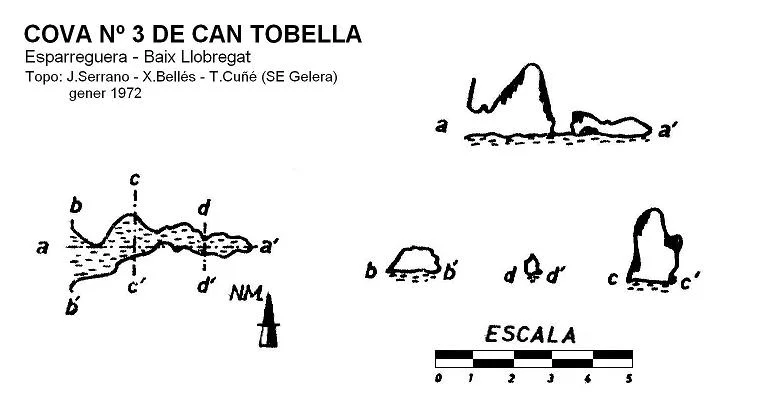 Survey of CAN TOBELLA, COVA Nº3 DE