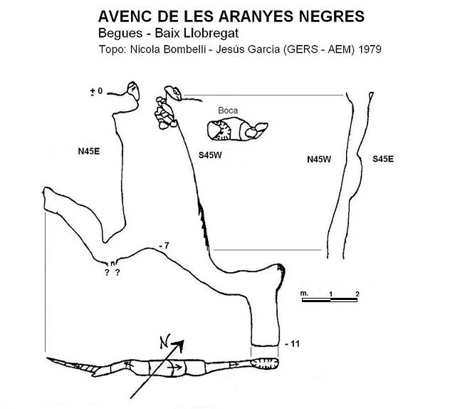 Topografia de ARANYES NEGRES, AVENC DE LES