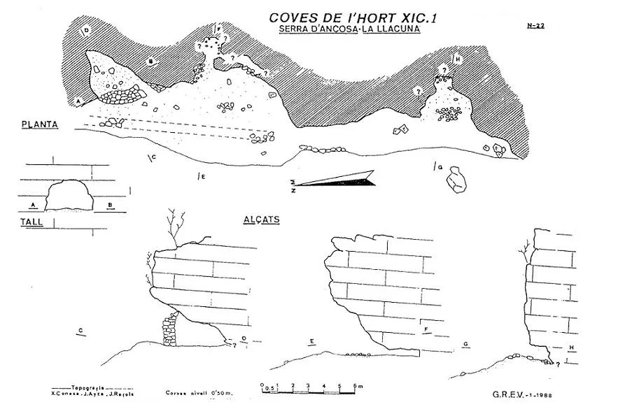 Survey of HORT XIC, COVES DE L'