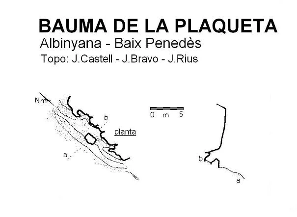 Survey of PLAQUETA, BAUMA DE LA