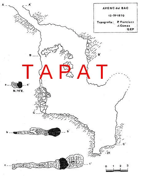 Survey of BAC, AVENC DEL