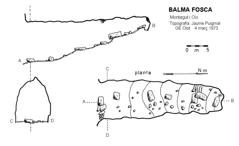 Survey of FOSCA, BALMA