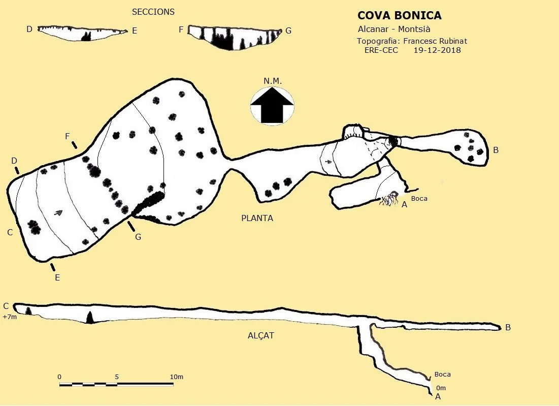 Topografia de BONICA, COVA