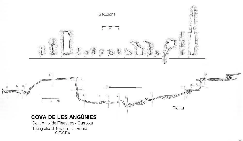 Topografía de ANGÚNIES, COVA DE LES