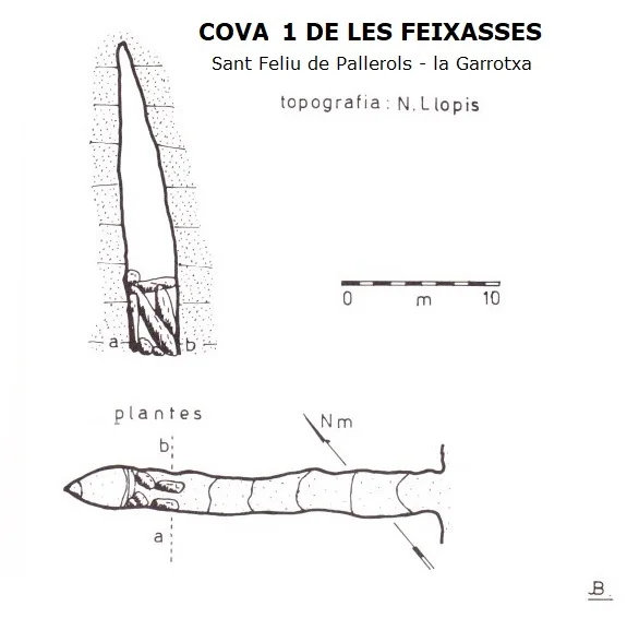 Topografía de FEIXASSES, COVA 1 DE LES