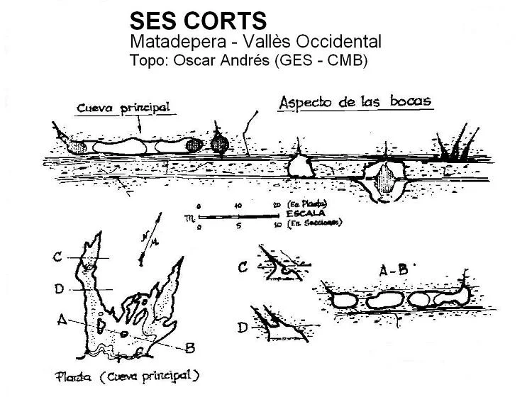 Survey of CORTS, SES