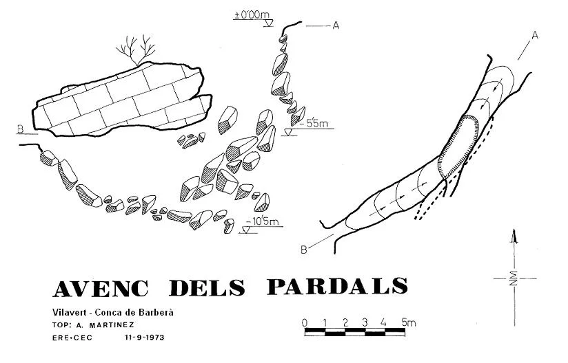 Topografia de PARDALS, AVENC DELS