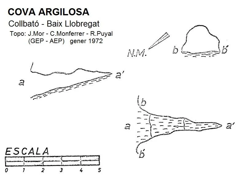 Survey of ARGILOSA, COVA