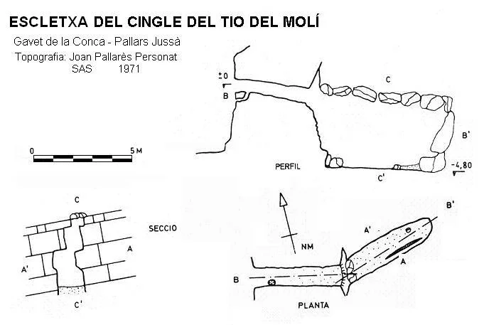 Topografía de CINGLE DEL TIO DEL MOLÍ, ESCLETXA DEL