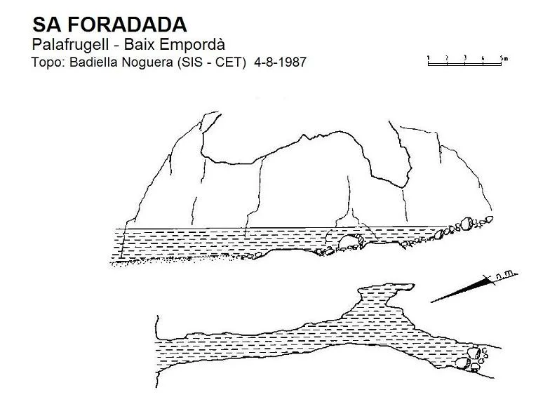 Survey of FORADADA, SA