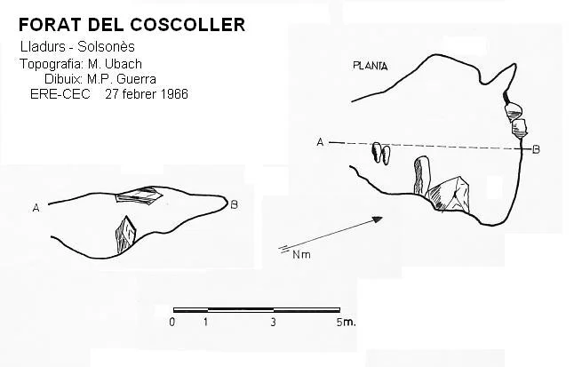 Survey of COSCOLLER, FORAT DEL