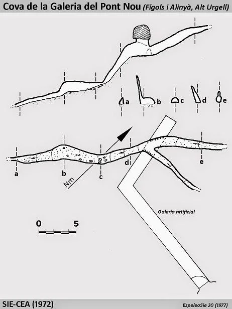 Survey of GALERIA DEL PONT NOU, COVA DE LA