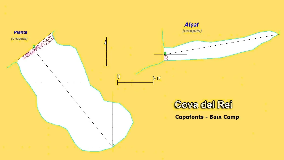 Topografia de REI, COVA DEL