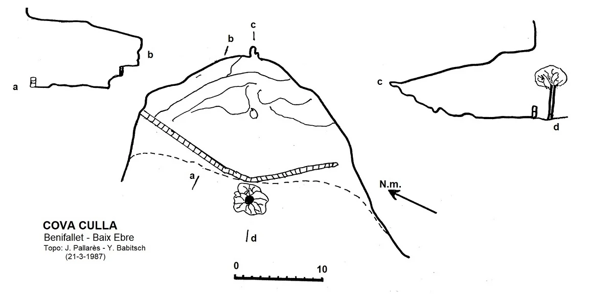 Survey of CULLA, COVA