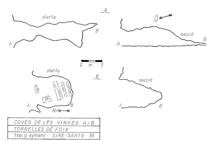 Topografia de VINYES, COVES DE LES