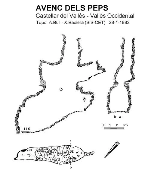 Topografia de PEPS, AVENC DELS