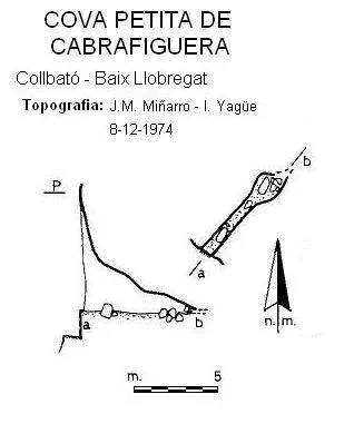 Topographie de CABRAFIGUERA,  COVA PETITA DE