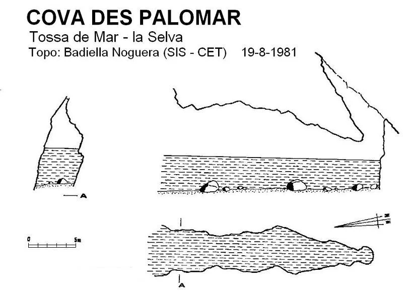 Topografia de PALOMAR, COVA DES