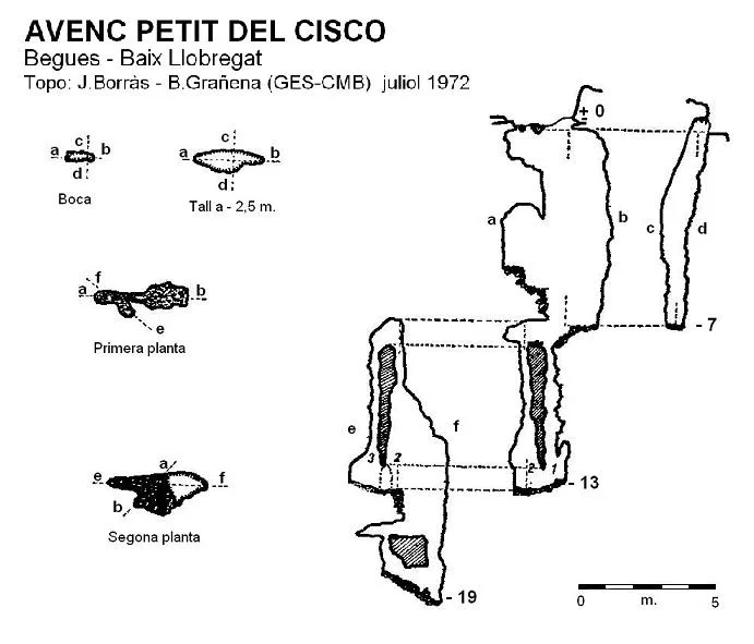 Survey of CISCO, AVENC PETIT DEL