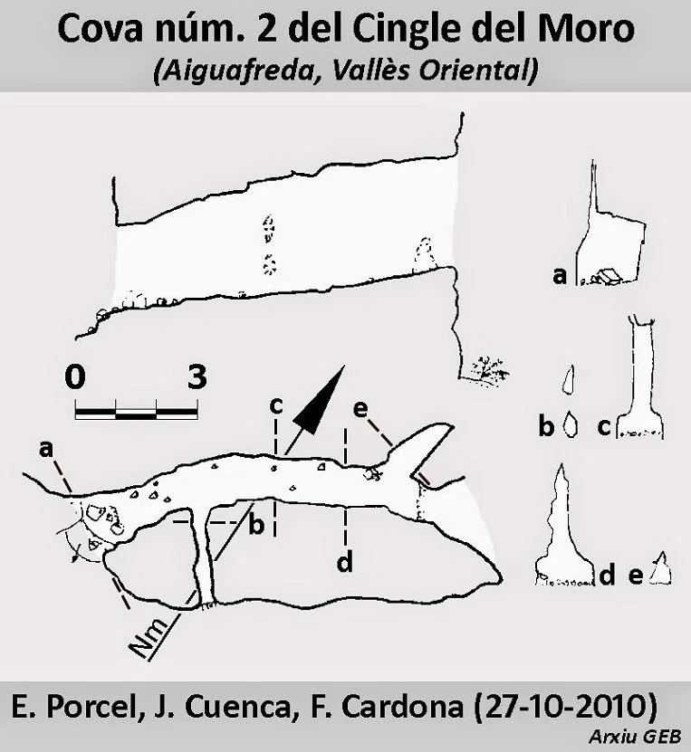 Survey of CINGLE DEL MORO, COVA Nº2 DEL