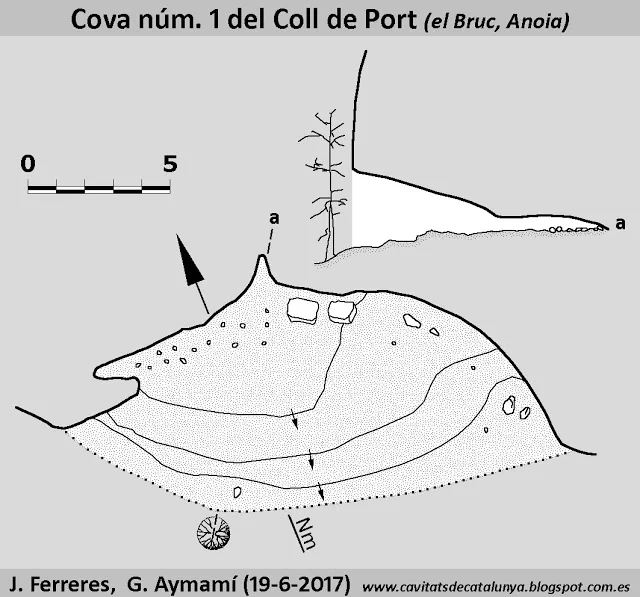 Topografia de COLL DE PORT, COVA Nº1 DE